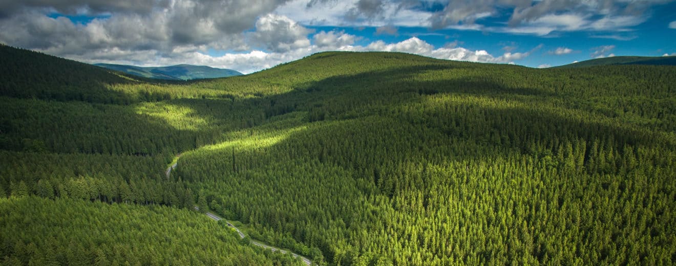 Who are the Top Timberland Owners and Managers in the U.S. and Canada?