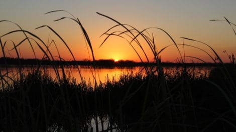 Understanding Wetlands Reserve Easements
