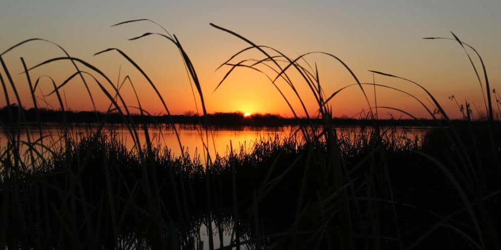 Understanding Wetlands Reserve Easements