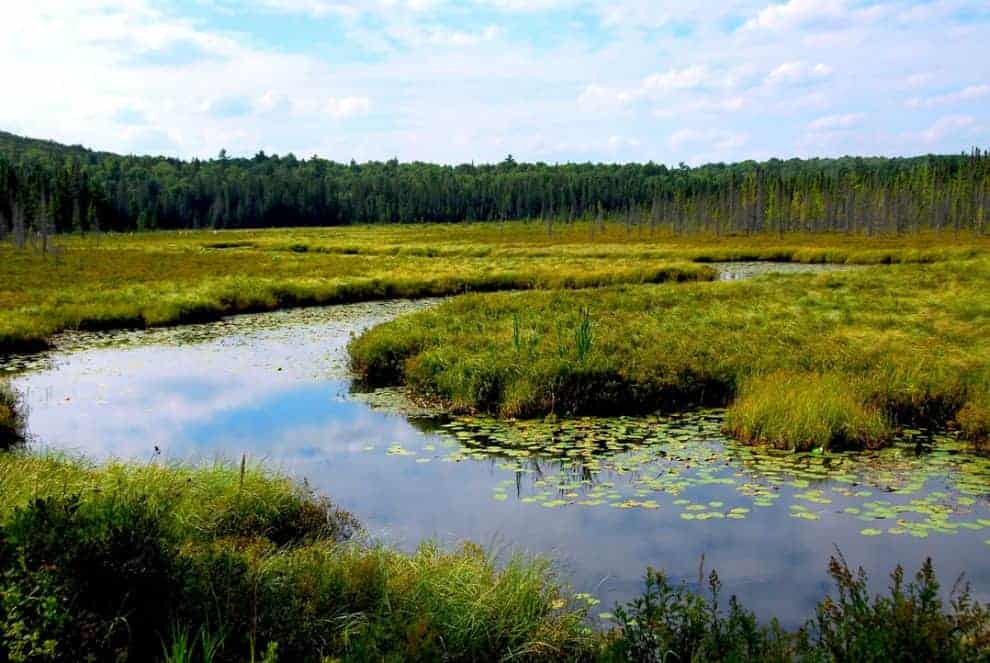 U.S. Wetlands Face a Tough Road Ahead in the Absence of a New Farm Bill