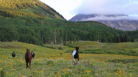 Valuing One-of-a-Kind Legacy Ranches