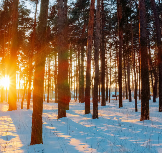 Part 2: Three Ways a Real Estate License Can Help You as a Land Investor