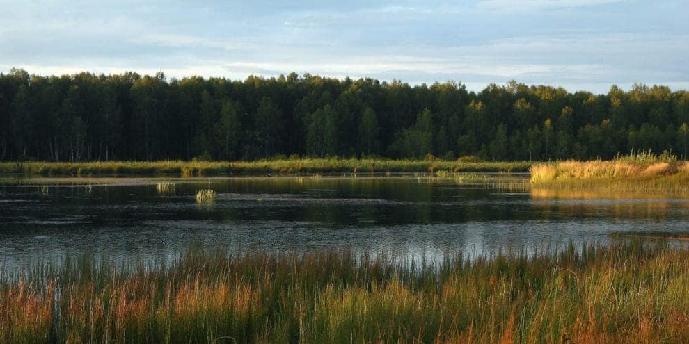 Wetlands can soak more than a buyer’s feet