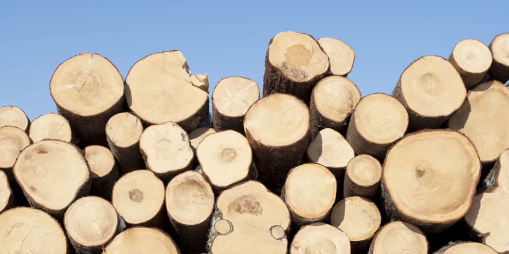 Which Forest Industry Firms Use the Most Wood in the United States?