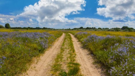 Why People Use Land Agents to Sell Rural Real Estate