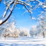 Will A Real Estate License Help You as a Land Investor?