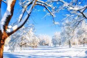 Will A Real Estate License Help You as a Land Investor?