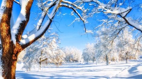 Will A Real Estate License Help You as a Land Investor?