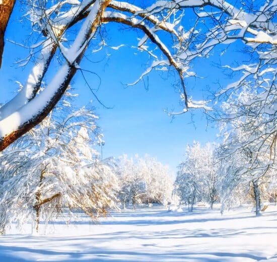 Will A Real Estate License Help You as a Land Investor?