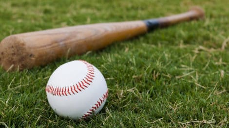 Wood Demand and Baseball Bats