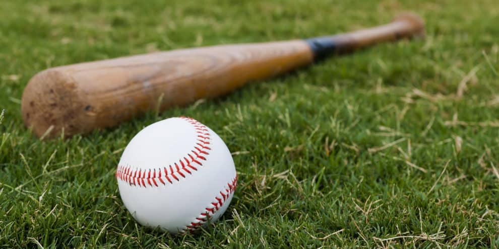Wood Demand and Baseball Bats