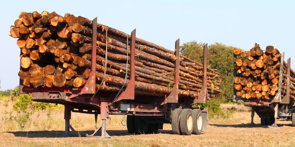 Wood Fiber Markets and Timberland Investing