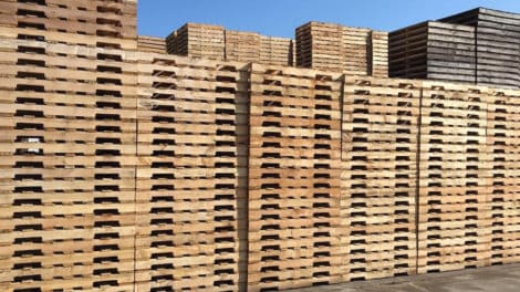 Wood Pallets and the Forest Industry