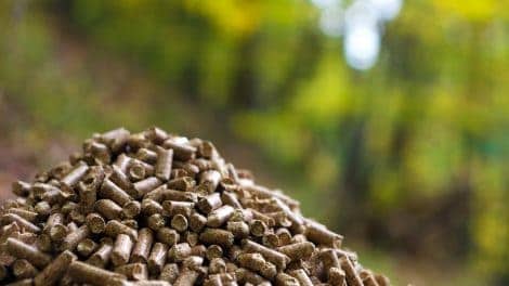 Wood Pellet Developments and the Relevance to U.S. Timberland Investments