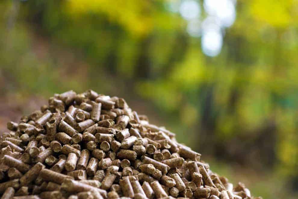 Wood Pellet Developments and the Relevance to U.S. Timberland Investments