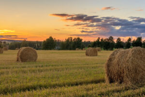 So You Got a Letter Offering to Buy Your Land? (Part 2)
