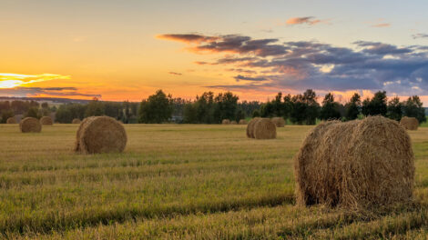 So You Got a Letter Offering to Buy Your Land? (Part 2)
