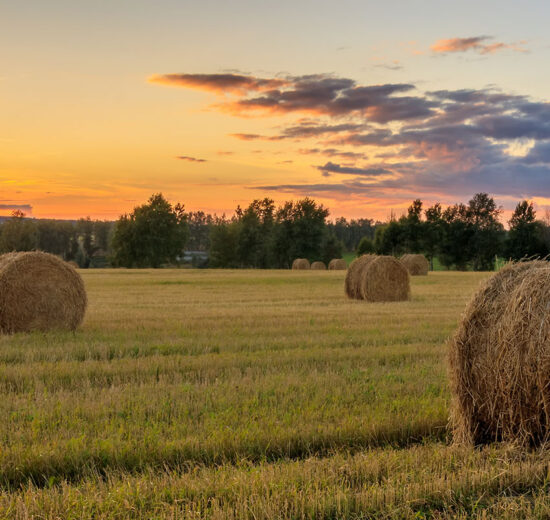 So You Got a Letter Offering to Buy Your Land? (Part 2)