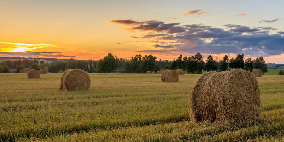 So You Got a Letter Offering to Buy Your Land? (Part 2)