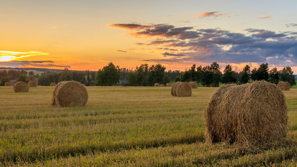 So You Got a Letter Offering to Buy Your Land? (Part 2)